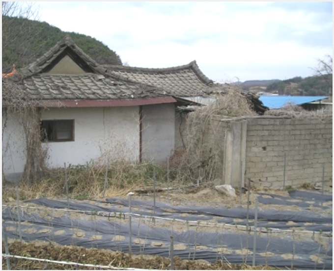 �� 5-û�籺 ���� �̷���-��
