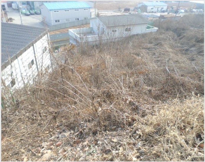 â�� 9-����� �ϻ굿�� ������-â��