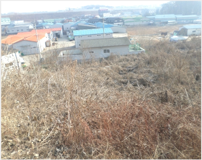 â�� 10-����� �ϻ굿�� ������-â��