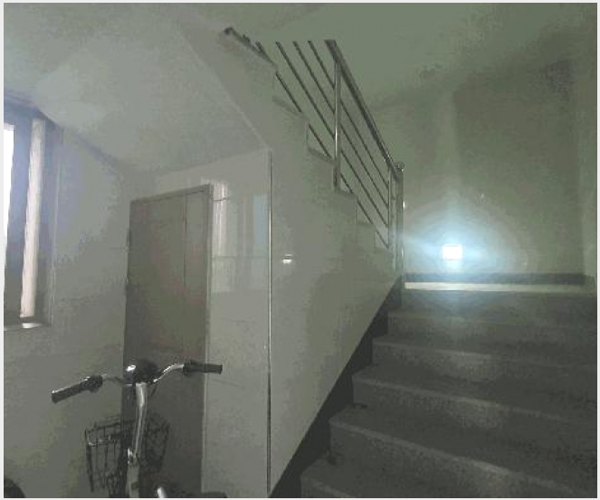 �ٸ��� 10-��õ�� �糲�� ������-�ٸ���