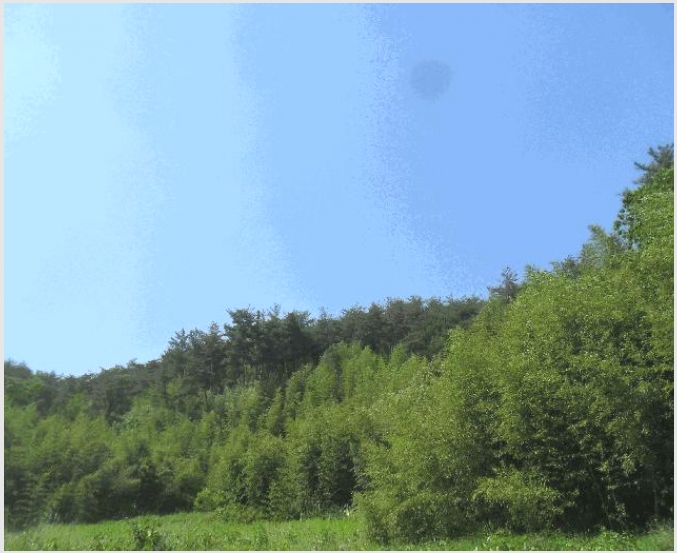 �Ӿ� 6-�о�� û���� ���⸮-�Ӿ�