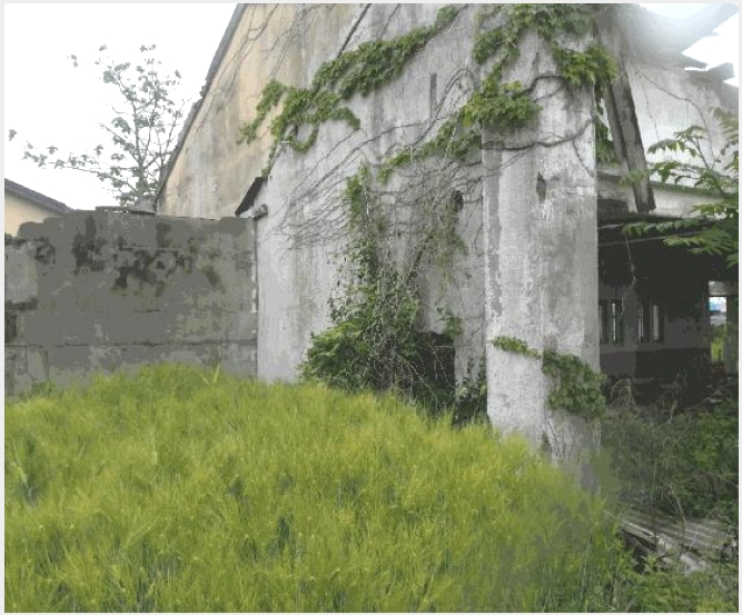 ���� 7-�ο��� ����� ��Ƽ��-����