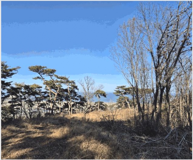 �Ӿ� 7-������ ������ ����׸�-�Ӿ�