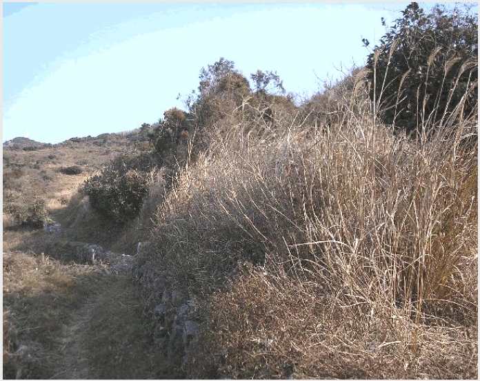 �� 5-������ ���� ������-��