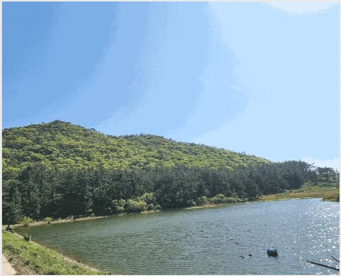 �Ӿ� 4-����� ������ �Žõ���-�Ӿ�