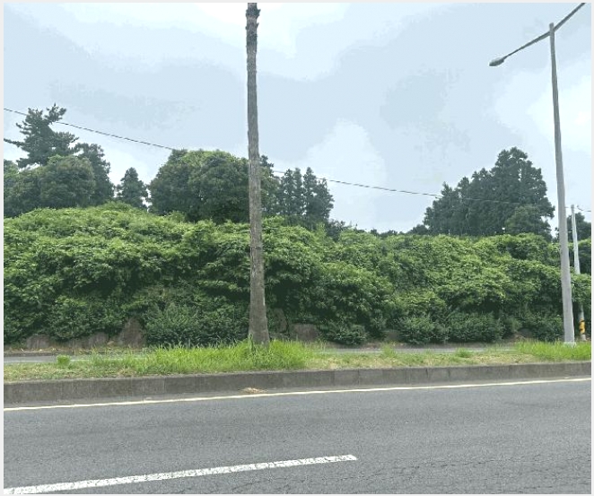 �� 8-�������� �Ͽ��� 651-1-��