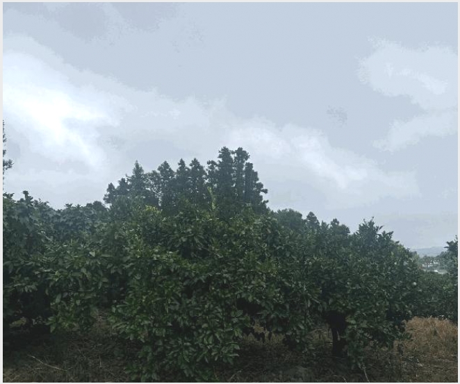 �� 9-�������� �Ͽ��� 651-1-��