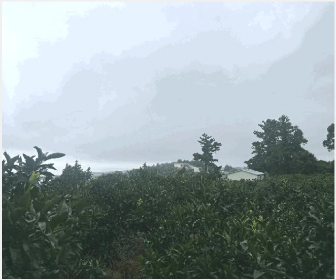 �� 5-�������� �Ͽ��� 651-1-��