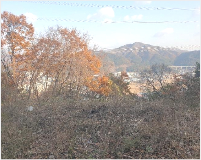 �Ӿ� 9-���屺 ������ �޻긮-�Ӿ�