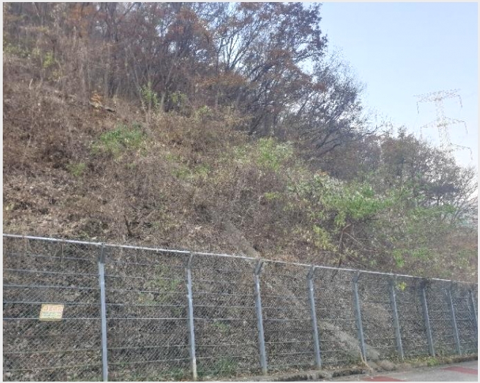 �Ӿ� 6-���屺 ������ �޻긮-�Ӿ�