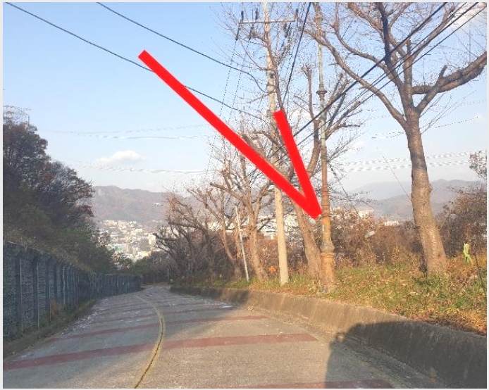 �Ӿ� 10-���屺 ������ �޻긮-�Ӿ�