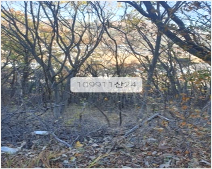 �Ӿ� 5-���屺 ������ �޻긮-�Ӿ�