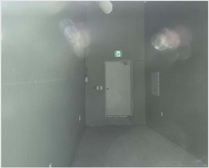 �ٸ��� 8-���ֽ� ���µ� 2073-�ٸ���