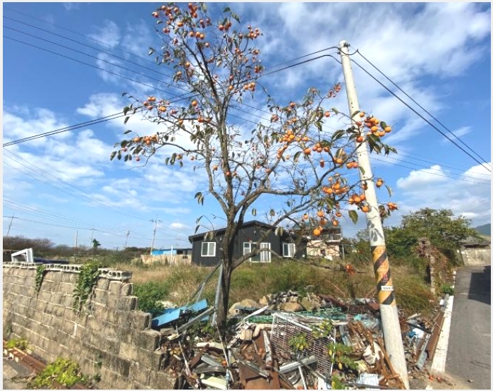 ���� 4-������ �븶�� ����-����