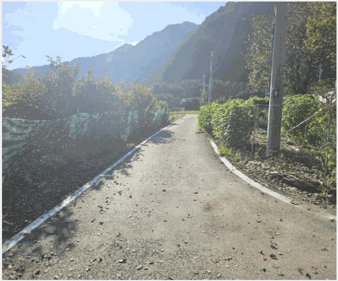 �� 8-ȫõ�� ���� ������-��