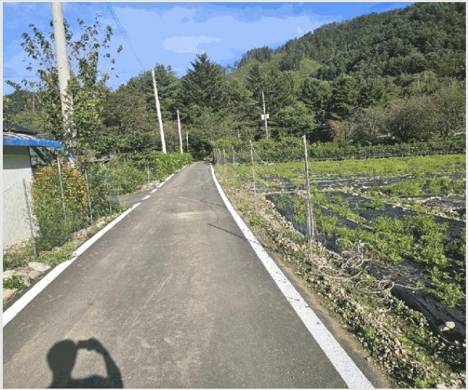 �� 6-ȫõ�� ���� ������-��