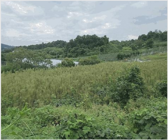 �� 9-�ܾ籺 ���õ�� ��ϸ�-��