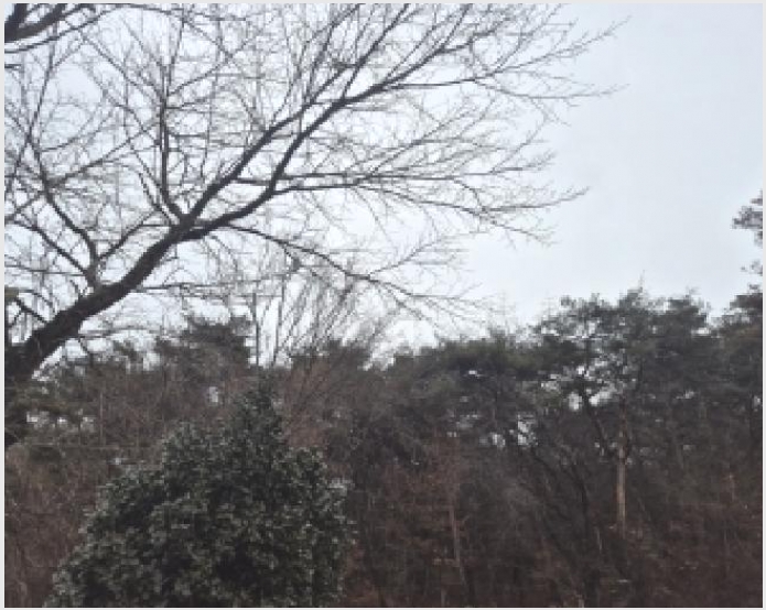 �Ӿ� 4-�强�� ����� �ݰ踮-�Ӿ�