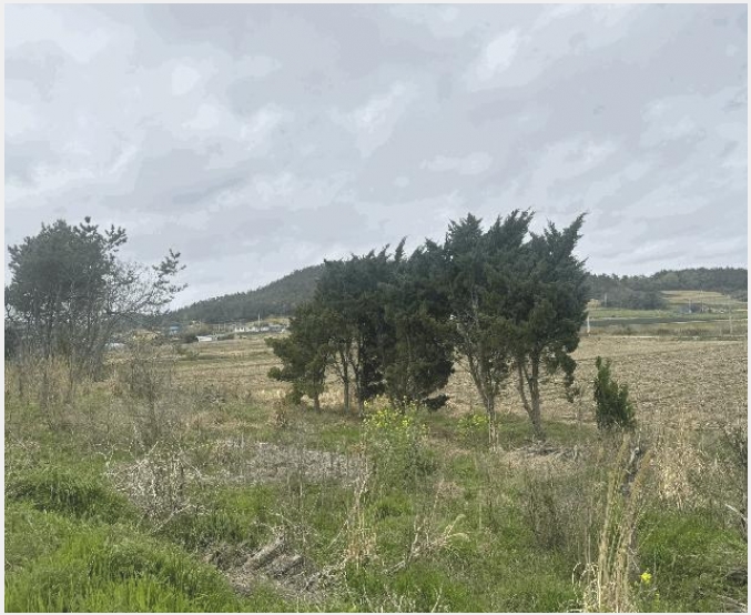 �� 9-�žȱ� ���¸� �ڶ�-��