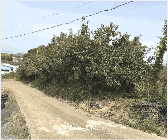 �� 10-���ϱ� ������ �Ϳ츮-��