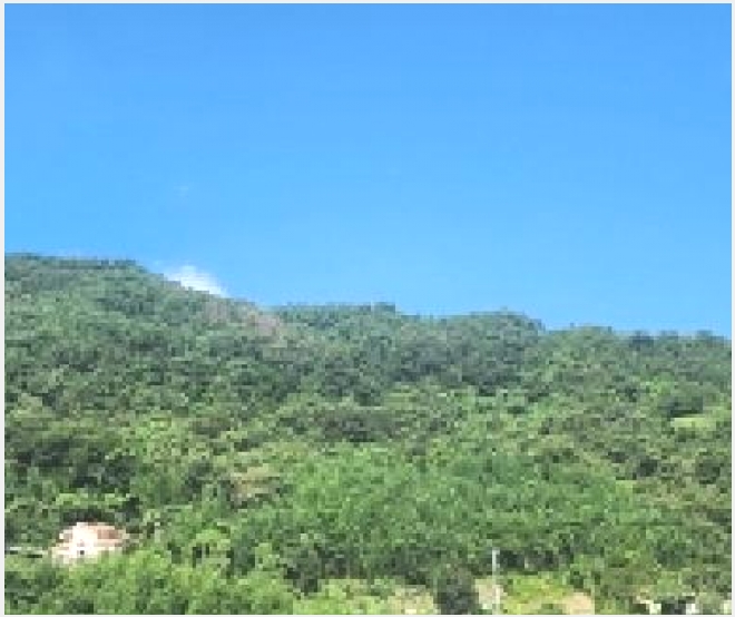�Ӿ� 6-���ʱ� ������ �ܰ-�Ӿ�