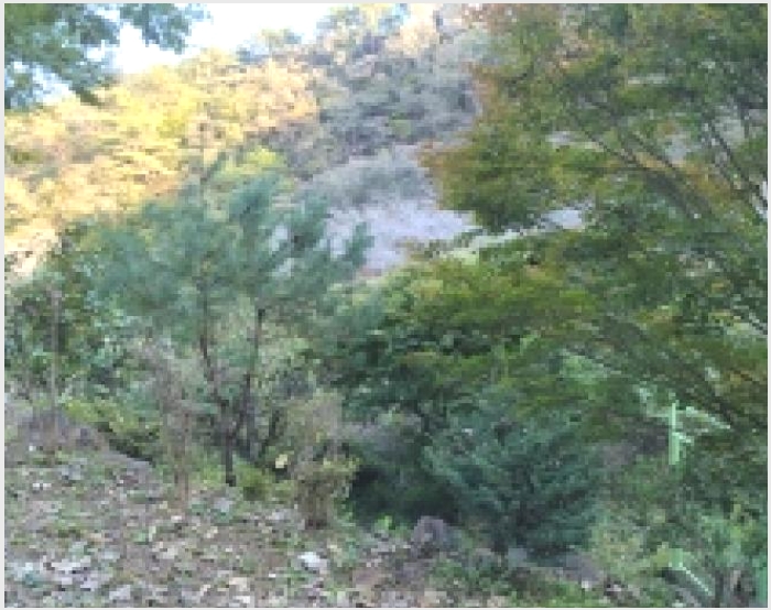 �� 7-������ ������ �׻긮-��