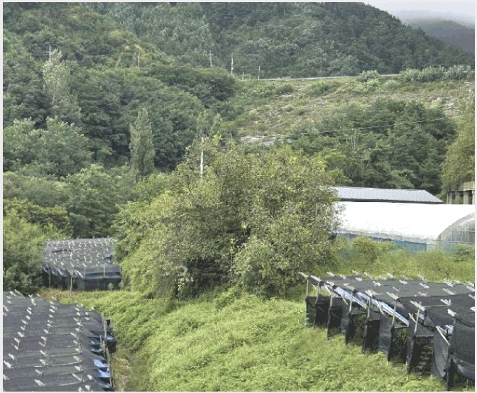 �� 9-����� ��ϸ� ���̸�-��