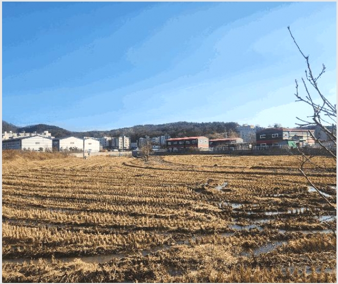 �� 10-����� ���籸 ������-��