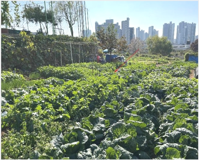 �� 10-���ı� ��õ�� 68-12-��