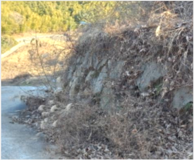 �Ӿ� 9-������ ��û�� ���踮-�Ӿ�