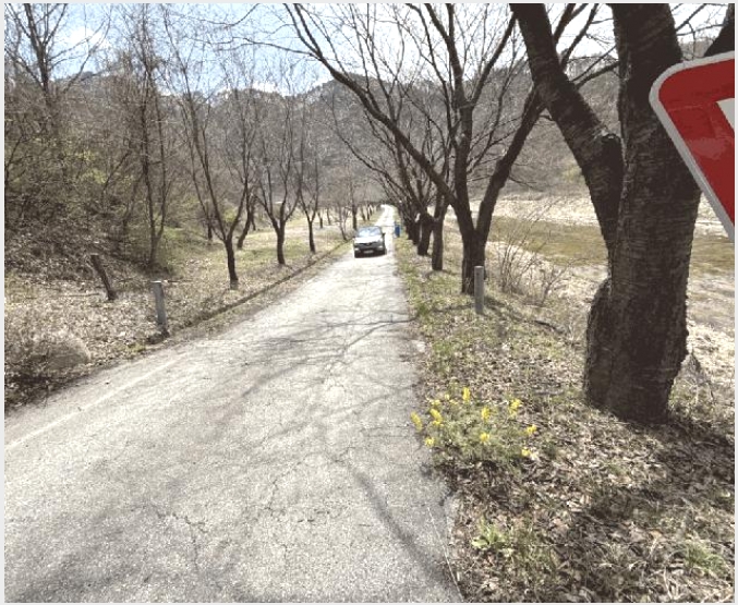 ȣ�ڸ��� 5-ȫõ�� ȭ�̸� ������-ȣ�ڸ���