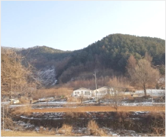 �Ӿ� 5-ȫõ�� ���̸� ������-�Ӿ�