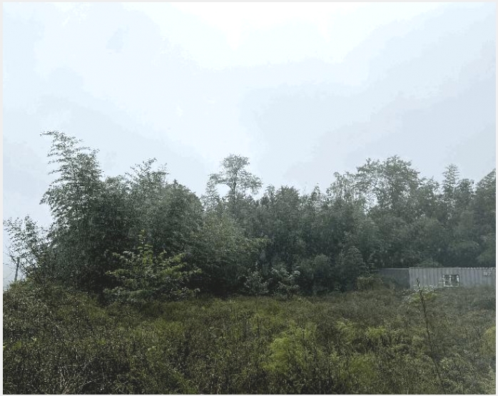 �� 10-������ ������ ��-��