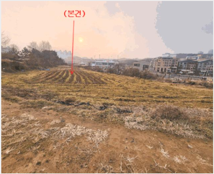 �� 8-��ġ���� ħ�긮 203-��