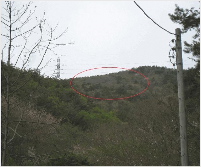 �Ӿ� 4-���屺 ������ ����-�Ӿ�