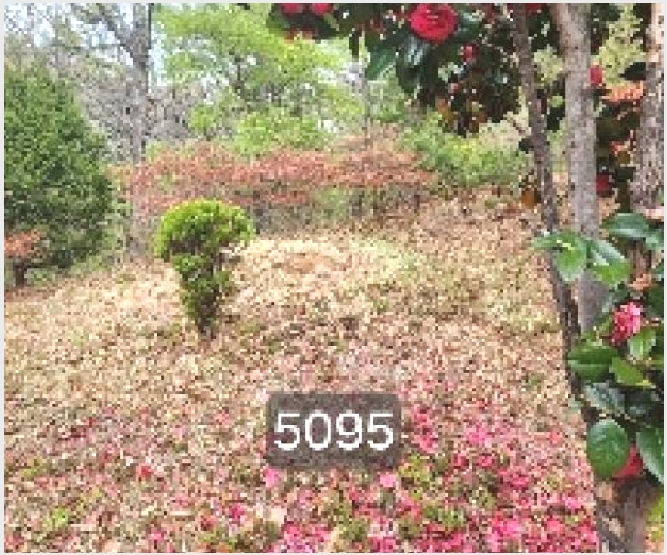 �Ӿ� 5-���屺 ������ ����-�Ӿ�