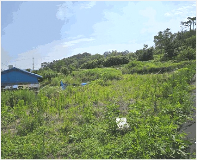 �� 4-���屺 ����� ������-��