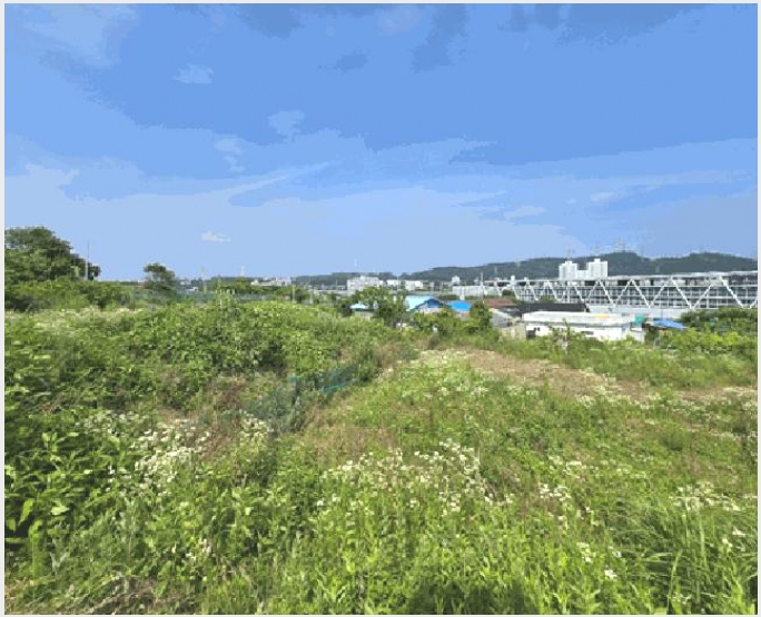 �� 7-���屺 ����� ������-��