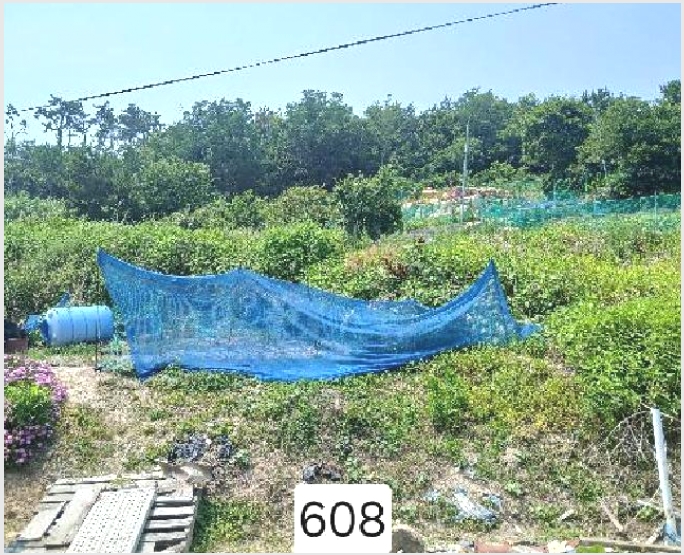�� 8-���屺 ����� ������-��