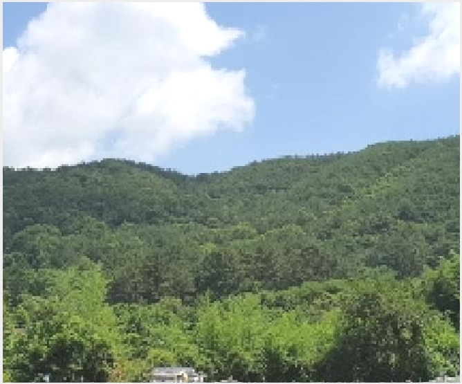 �Ӿ� 6-â���� ���������� ������-�Ӿ�
