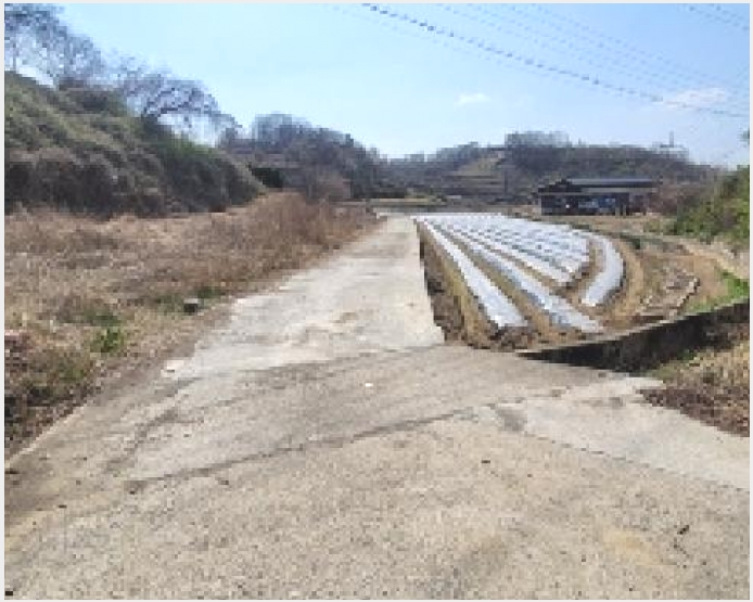 �� 8-�Ծȱ� ĥ���� �뼺��-��