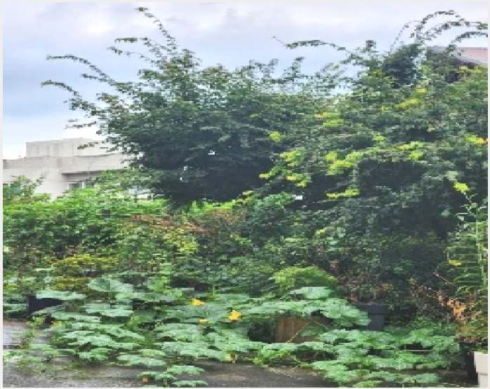 ���� 6-���� �絿 123-4-����