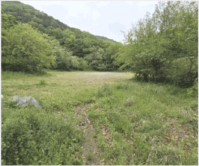 �Ӿ� 5-���� ���굿 52-19-�Ӿ�