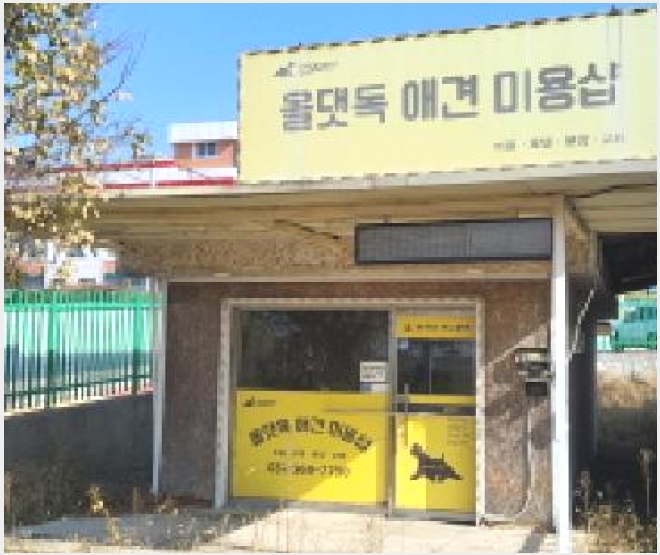 �ٸ����� 10-����� ���籸 ������-�ٸ�����