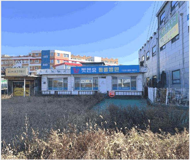 �ٸ����� 6-����� ���籸 ������-�ٸ�����