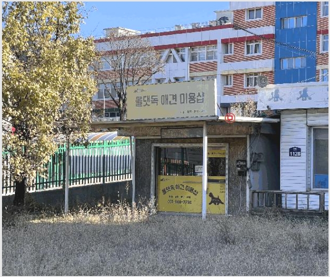�ٸ����� 7-����� ���籸 ������-�ٸ�����