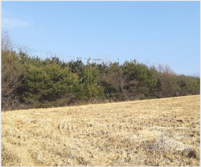 �� 6-���׽� �ϱ� û�ϸ�-��