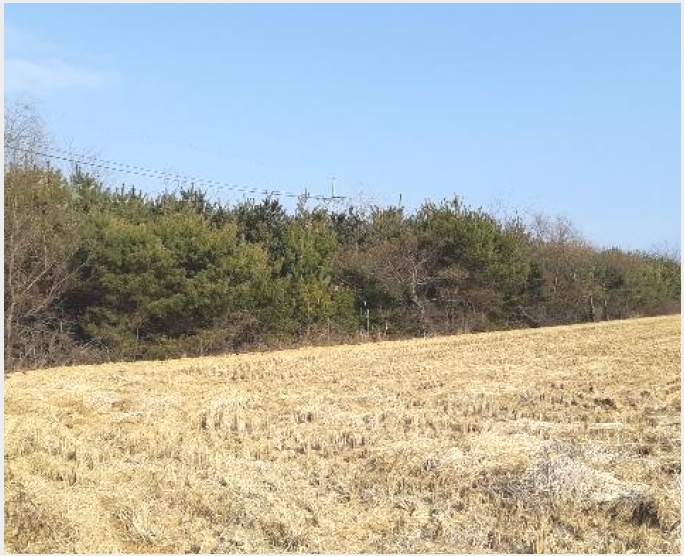 �� 5-���׽� �ϱ� û�ϸ�-��