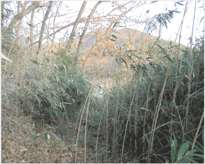 �� 5-â�籺 �輺�� �Ŵ縮-��