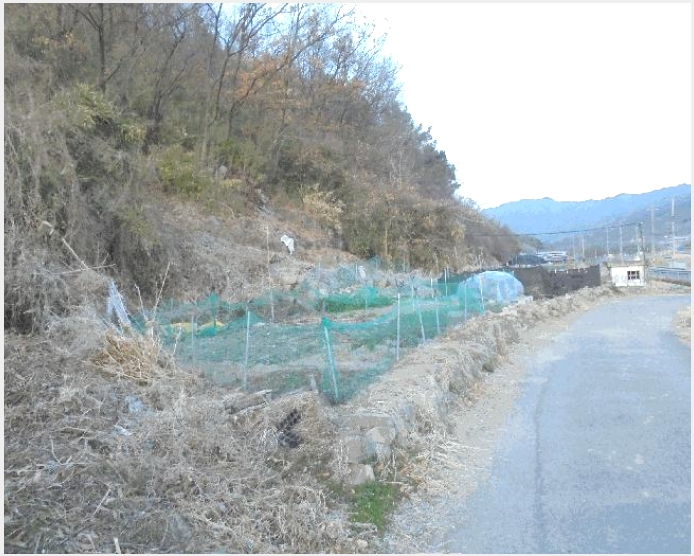 �� 7-â�籺 �輺�� �Ŵ縮-��